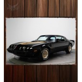 Металлическая табличка Pontiac Firebird Trans Am T A 6.6 RPO L78